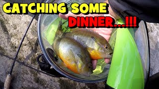 Catching Some PANFISH & TROUT for DINNER...!!! (TROUT TRIFECTA)