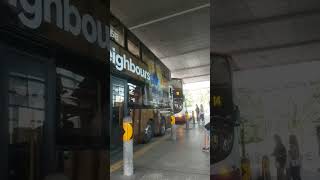 Crowded bus stop#shorts#sgbus