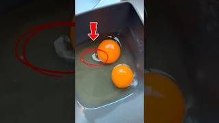 The white thing we see inside eggs