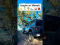 Jeep Wrangler adventures in Hawaii #Jeep #Hawaii #Oahu #Beach #Offroad