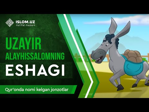 23. Uzayr alayhissalomning eshagi (1-qism) | Qur'onda nomi kelgan jonzotlar