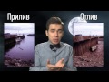 Что, если Луна упадет на Землю؟