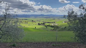 Birdsong and Wind Whisper - Relaxing Atmosphere of Steppe Flower Fields/Sagittarius1681