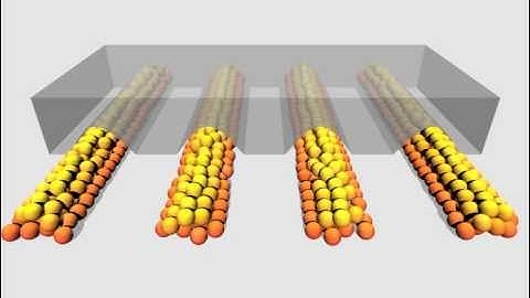 Nanoparticle assembly by confinement in wrinkles