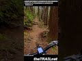 Lower Seymour Conservation Reserve: Circuit 8 To Fisherman's Connector #mtb #mountainbike #mtblife