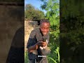 Mooveny Comedy Funny