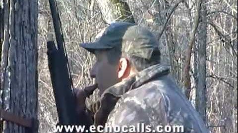Back Water Green Timber Duck Hunt - Ol