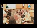 مفهوم المسند عند أئمة الحديث مفهوم المسند عند أئمة الحديث