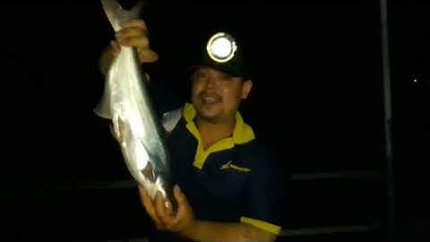 Bến nọc, đường trung đông 8,dính tra rồi ae ơi, sướng sướng sướng # câu cá hóc môn