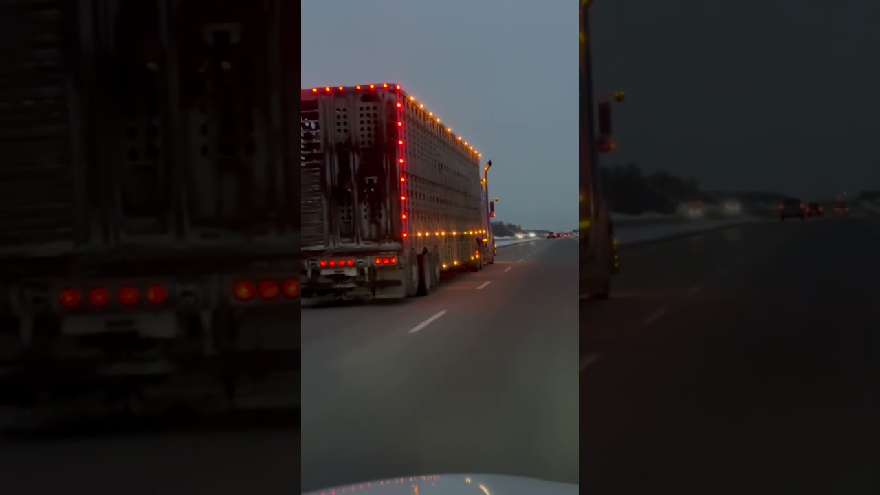 Check out the best quality beef in Alberta, Canada. That Truck Knew, Tender, Juicy Beef, Only In AB.