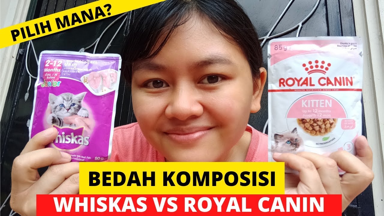 WHISKAS VS ROYAL CANIN KITTEN WETFOOD YouTube