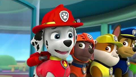 Pups Save a Bat-clip2