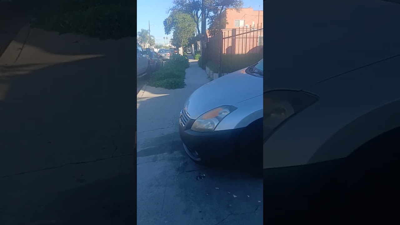 Start of a Saturday morning walk..(Mary Jane & Miss Dinky)