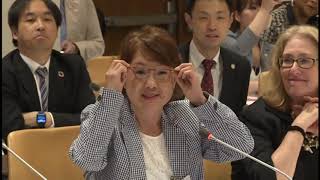 2019ニューヨーク国連本部SDGs推進会議記録