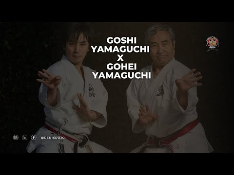 Goshi Yamaguchi X Gohei Yamaguchi neko ashi kumite camera iphone 8 plus apk