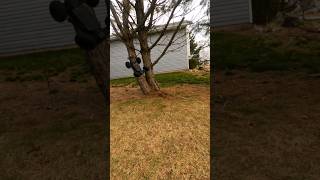 RC CAR DOES TREE FLIP 🚗🌳🔄#subscribe #shorts #reels #rc #arrma #slowmotion #gopro