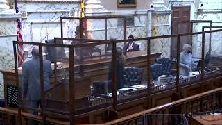 House Floor Session, 1/20/2021 #1