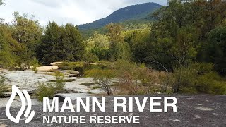 Mann River Nature Reserve, New South Wales