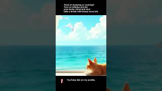 Sweet jazz &amp; Bossa Nova Lofi #cat #lofimusic #chillvibes