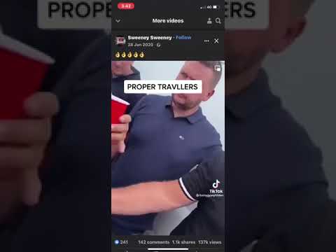 Travellers having a deal in horse fair