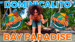 Positive Morning Walk in Paradise | Dominicalito Bay | Love & Positivity 4 The World screenshot 4