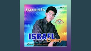 Video thumbnail of "Israel Camey - Un Dia A La Vez"