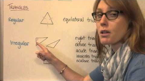 Exploring & Classifying Polygons