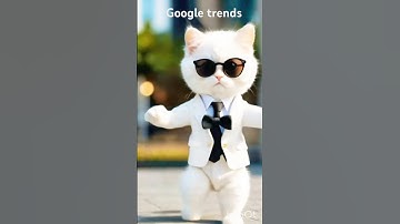 Google trends ||cute cat crazy dance #cute #cat #dance #viralmusic #shortfeed #004 #cutecate#meow