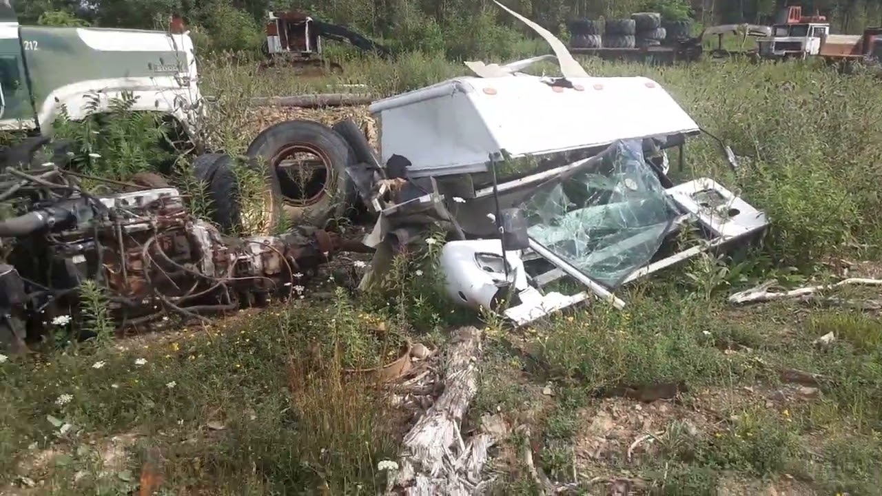 oh look what the cat drug in !!! YouTube