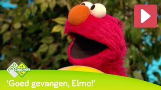 15 Minuten Elmo Sesamstraat Npo Zappelin