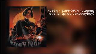 FLESH - EUPHORIA (slowed reverb) (prod.vekovoyboy)