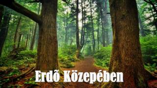 Opitz Barbara - Erdő Közepében