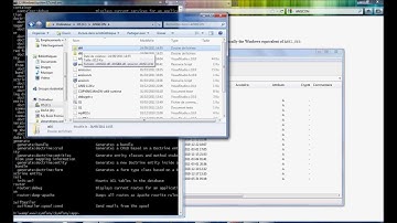 Symfony2 with colorized output on Windows