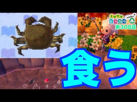 とび森 食糧難の村長 シャンハイガニを釣る とびだせどうぶつの森 第308話 Youtube