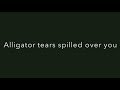 Tegan and Sara - Alligator (Lyrics) [HQ]