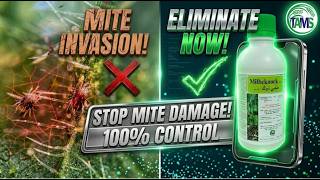 Stop Mite Damage Fast! 🐜 Milbeknock Mite Control for Tomatoes, Cucumbers & Date Palms 🍅🥒