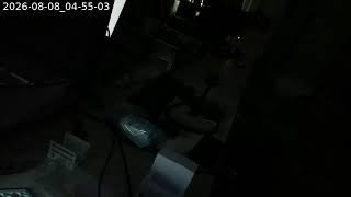 OT-2 stream picam-ot2, 2026-08-08 UTC 03:00