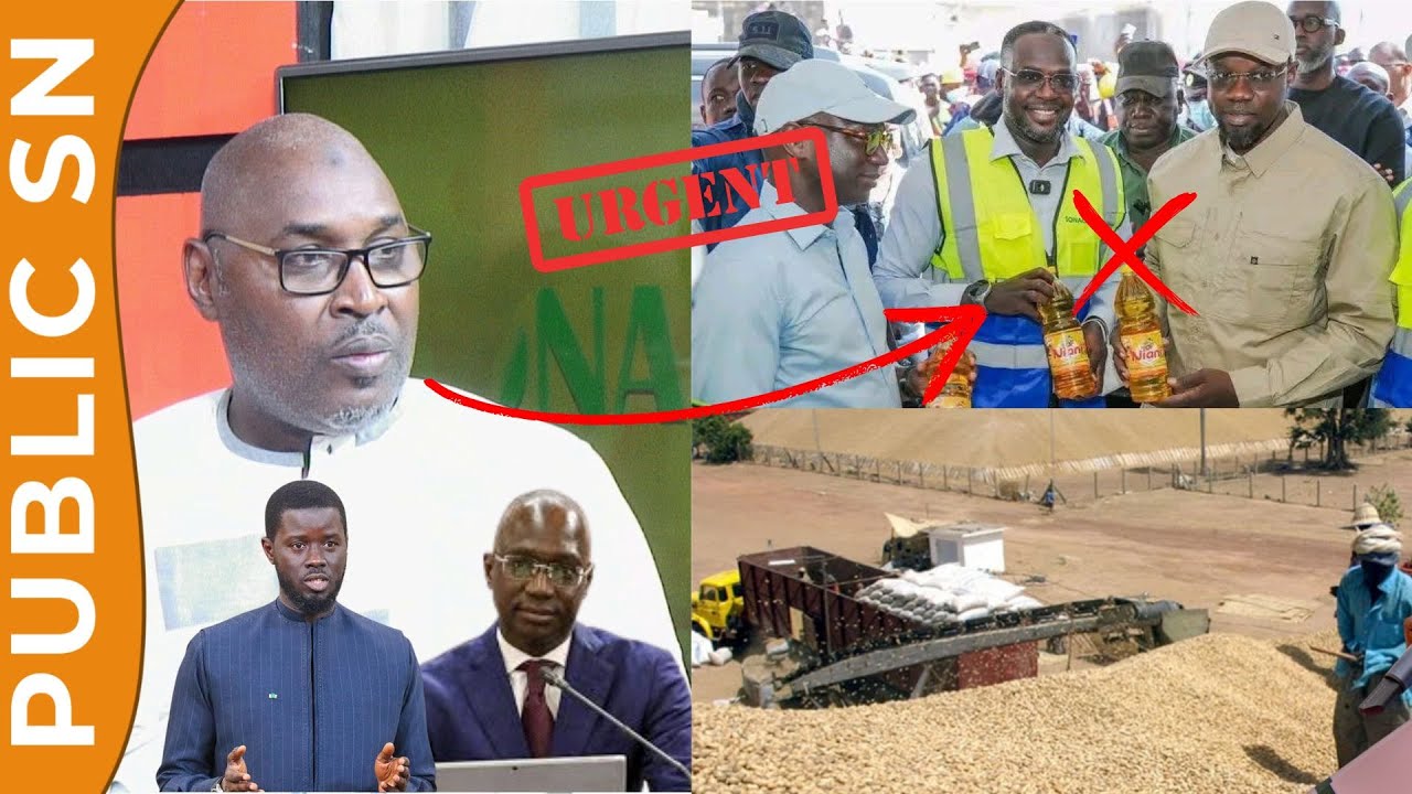 Commercialisation de l'arachide : Adama Fall démasque Sonko et fait des révélations sur sa sortie...