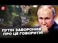 🔥У Кремлі ШУХЕР! ЗСУ несподівано злили у мережу ЦІКАВІ ЦИФРИ. Такої ІСТЕРИКИ у Путіна ще не було