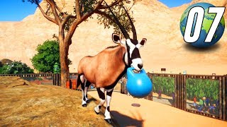 Planet Zoo Franchise - Part 7 - Gemsbok