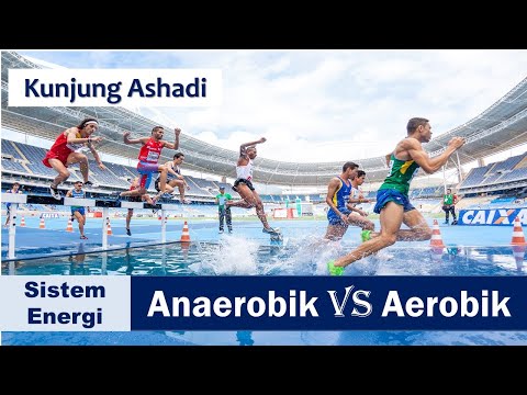 Video: Yang manakah dilukis pertama secara aerobik atau anaerobik?