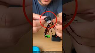 Famous He Put a Camera on a Cockroach and Saw This ‼️😱 #trendingshort Wealth