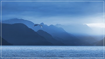 Mystical Am (A minor) CHORD - Ambient Backing Track #33