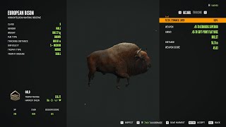 European Bison  5/Gold  theHunter  Call of the Wild 2024 05 20