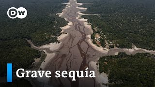 La sequía castiga a la Amazonía