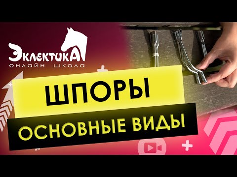 Основные виды шпор для лошади. Конный спорт. Выездка.