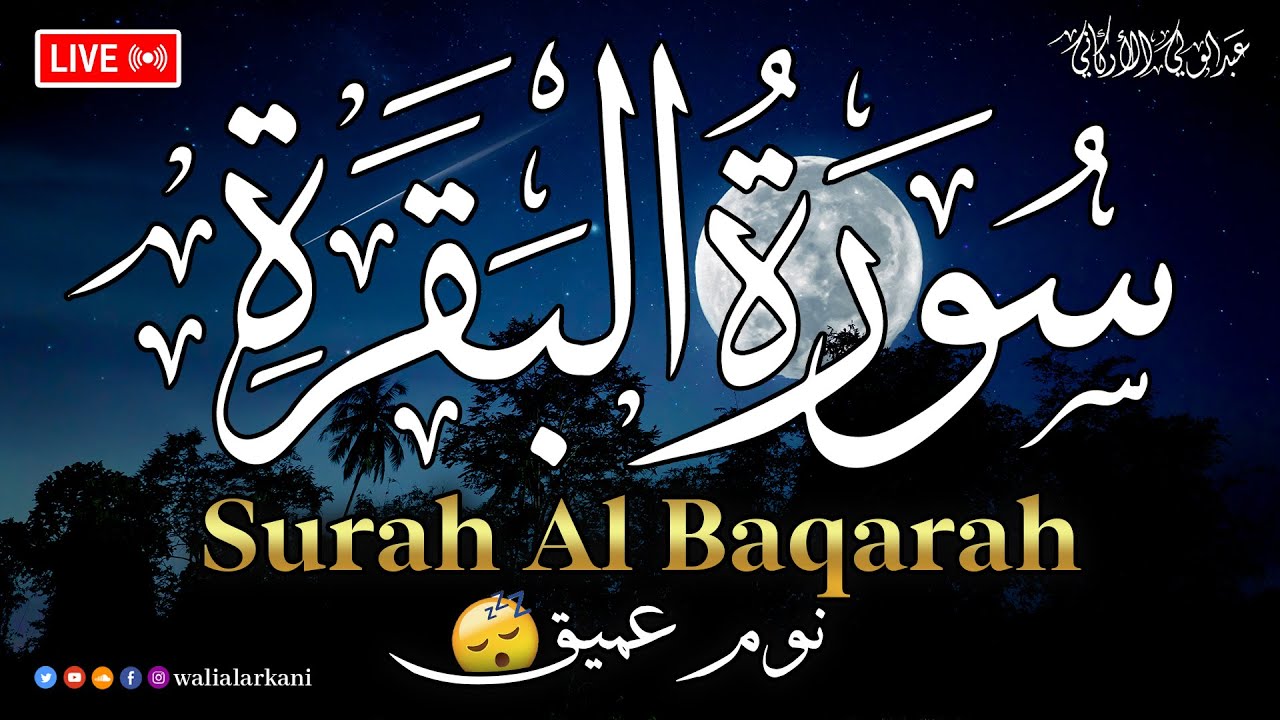 سورة البقرة طاردة الشياطين 💚 قران كريم بصوت جميل ومريح جدا 💚 تلاوة هادئة للنوم والراحة النفسية😴