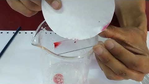 Class 11 Biology Experiment 3 - To Prepare Temporary Stains Of Monocot Root