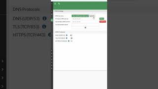7.How to Configure DNS in FortiGate Firewall with GUI?