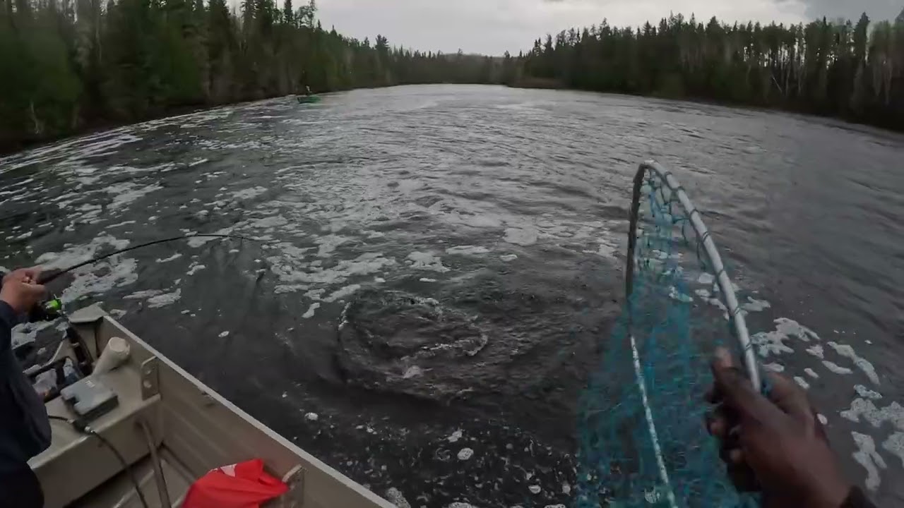 Jamaican up north Adventure in Northern Ontario 